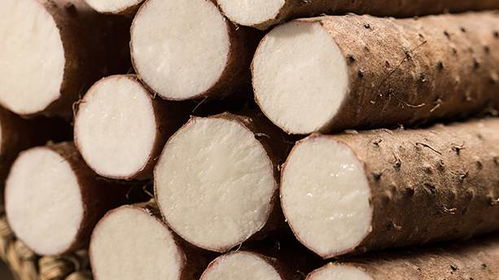 出伏了 但秋天還沒(méi)來(lái) 這些養(yǎng)生知識(shí)你應(yīng)該知道